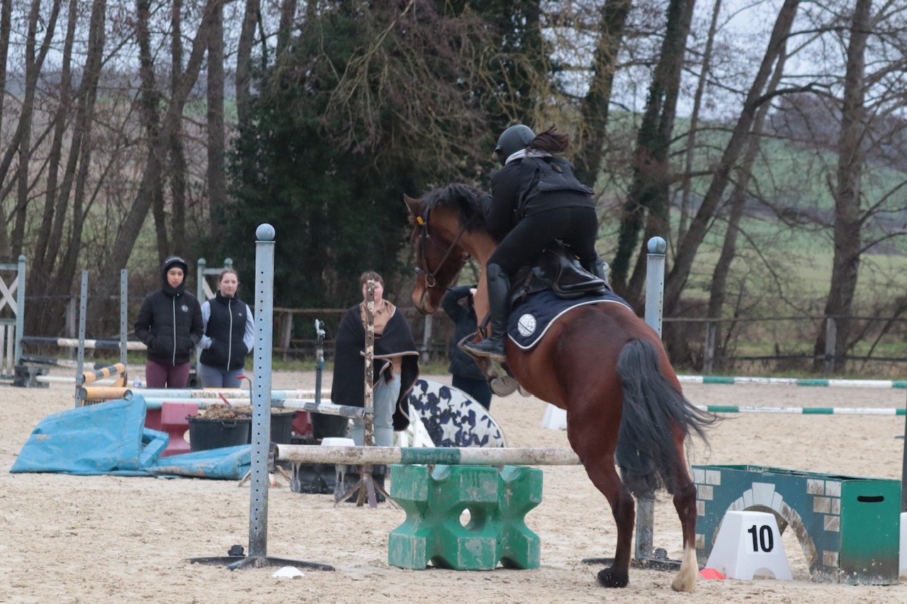 STAGE PREPARATION GALOP 3 ET PLUS 