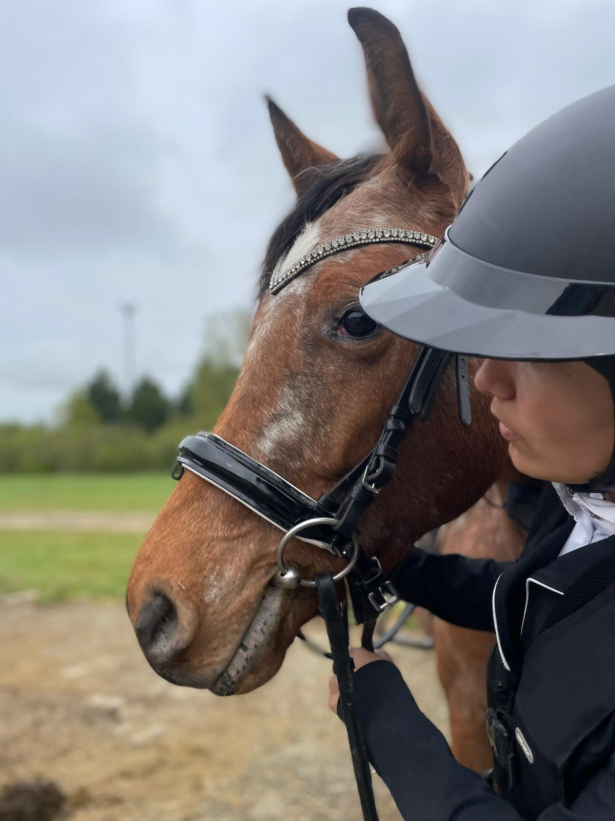 CONCOURS CSO LA RIVIERE DE CORPS