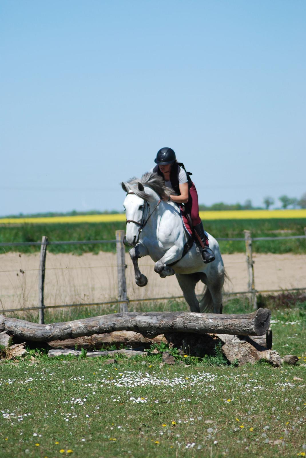 CONCOURS CCE CLUB LA VERNADE