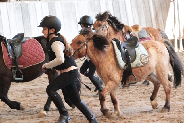 Stage Jeux à Poney 