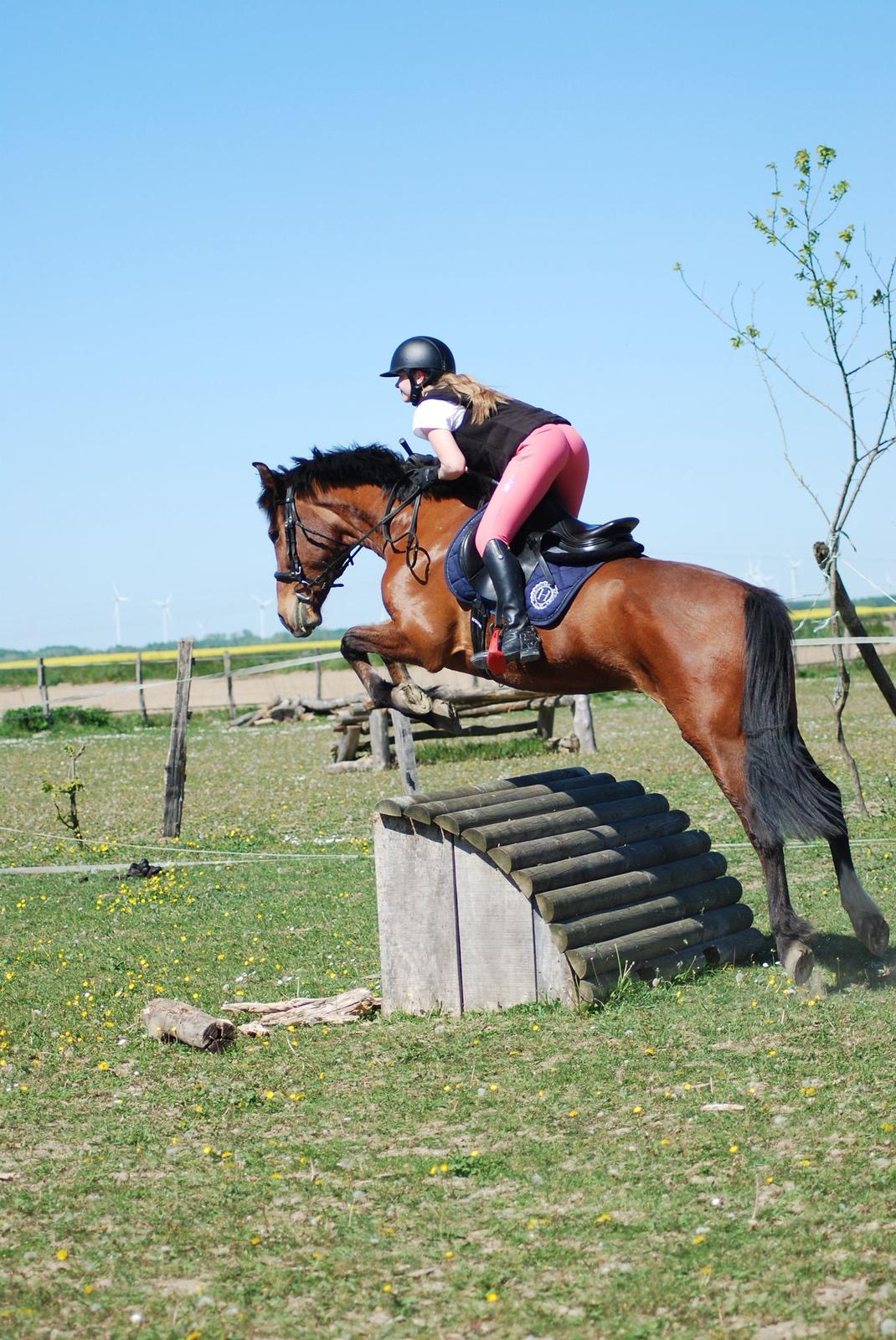 Stage CROSS 