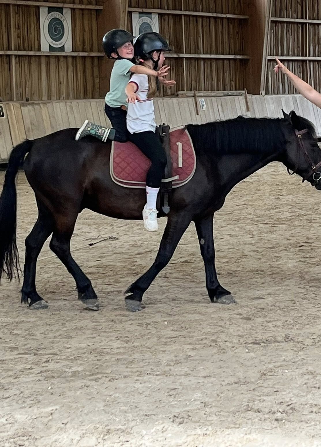 Stage Voltige
