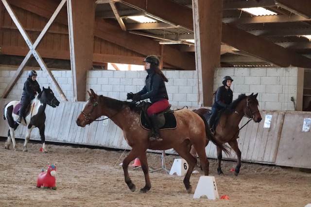 Stage EQUIFUN 