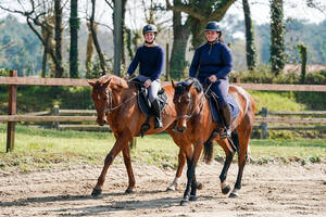 Stage 2 jours : Passage Galop 3 ou Galop 4 