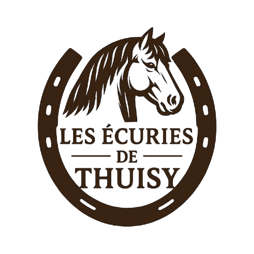 LES ECURIES DE THUISY